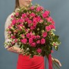 15 кустовых роз Глория 70 см